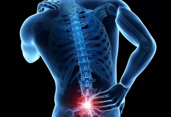 Lumbar disc 1