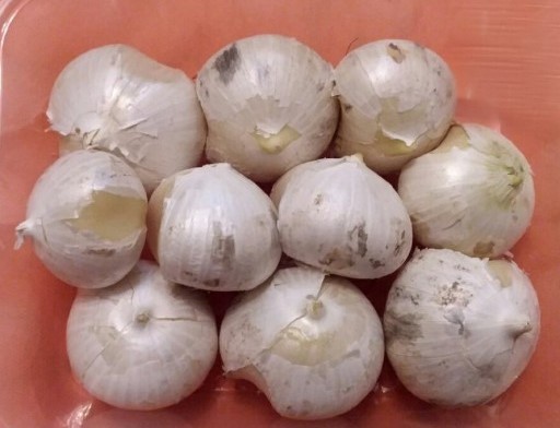 موسیر