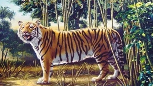 tiger 1