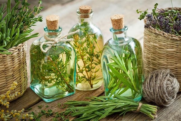Rosemary1