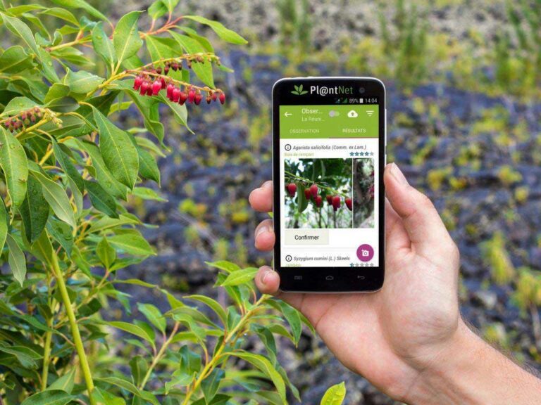 برنامه PlantNet