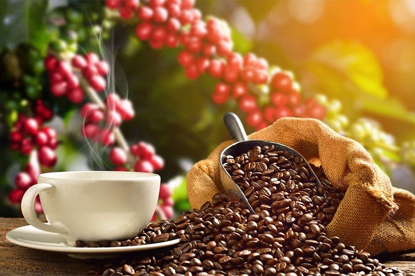 بهترین دستگاه قهوه ساز خانگی 7