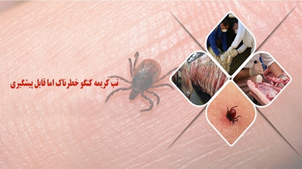 تب کریمه کنگو