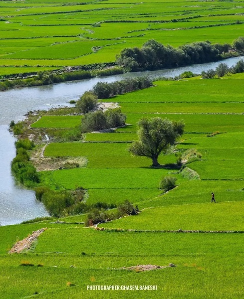 چند نمای زیبا از روستای چم سهراب خانی کامفیروز 12 1