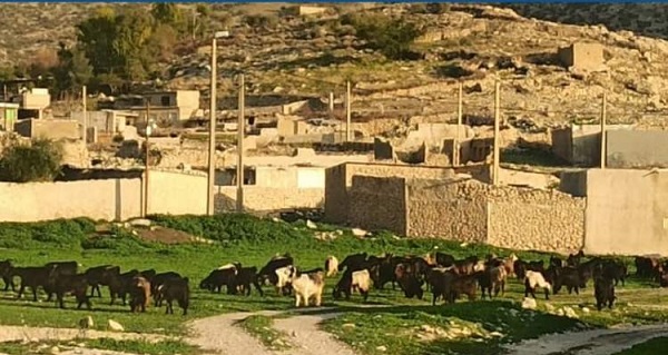 الیف