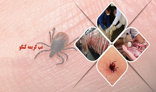 تب کنگو