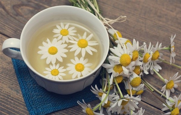 دمنوش بابونه 3
