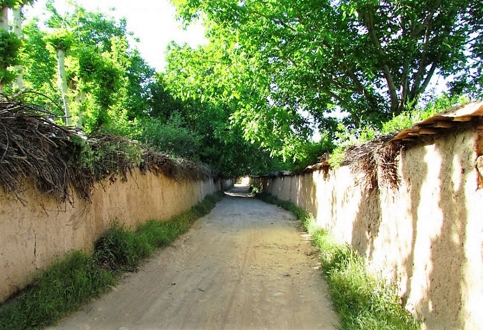 قصردشت