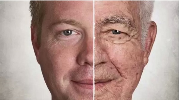 پوست