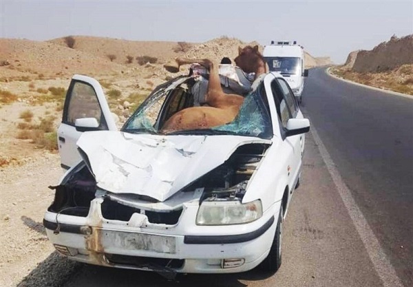 تصادف