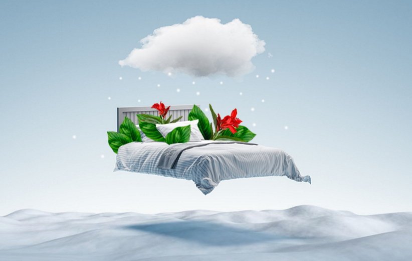 bed