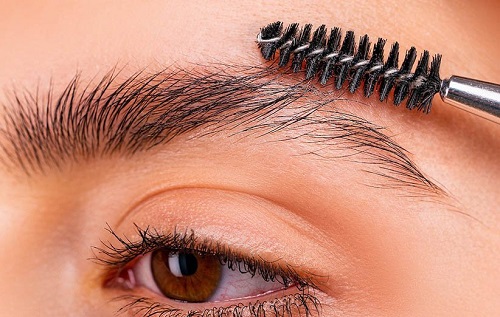 grow eyebrows 1 1