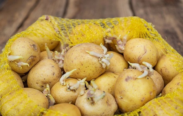 potato 2