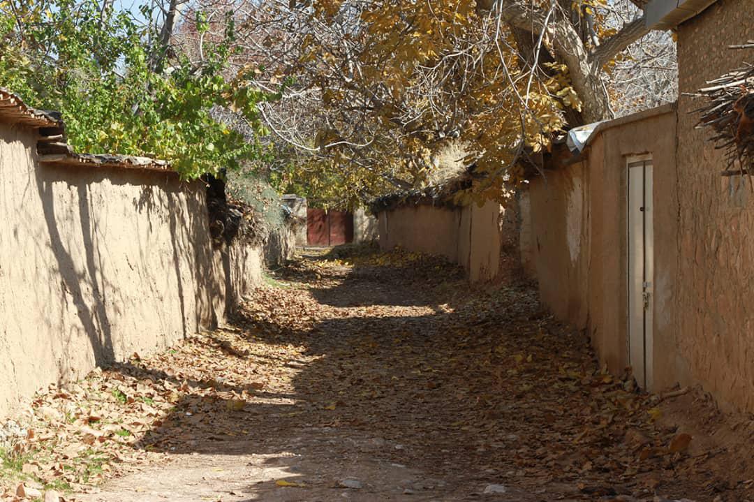 باغات شیراز