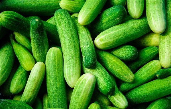 ۳۴ مورد از خواص خیار برای سلامتی و کاربردهای آن در خانه‌داری