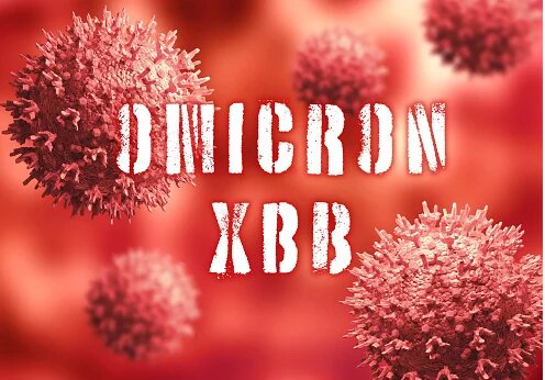 زیرسویه BQ۱ و XBB