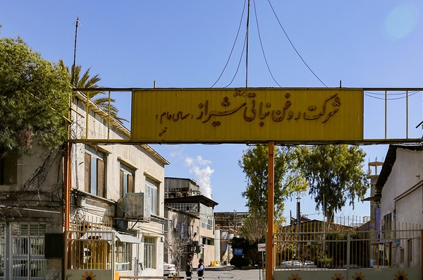 نرگسشیراز