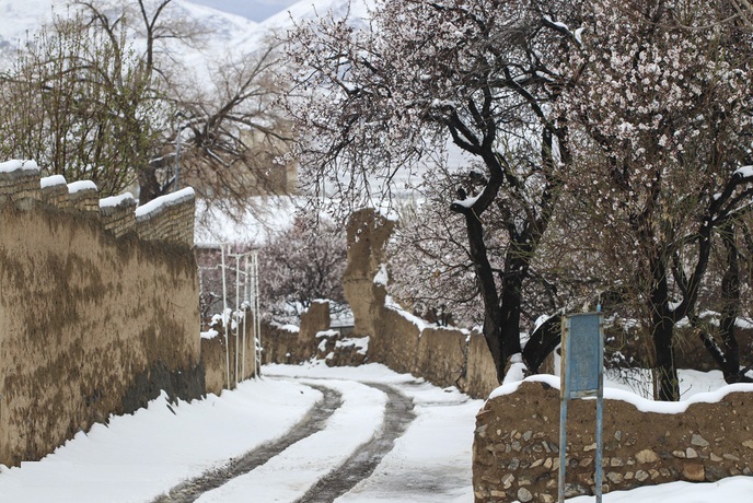 برففال حافظ