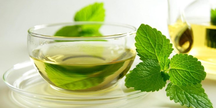 عرق نعناع
