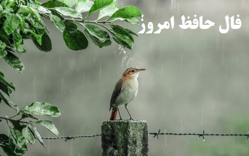 فال حافظ امروز
