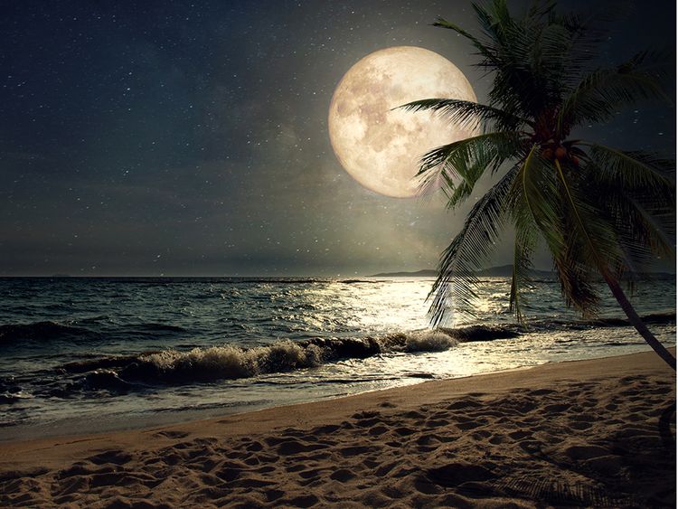 Why suicidal deaths spike during the full moon week 18761d0b429 large