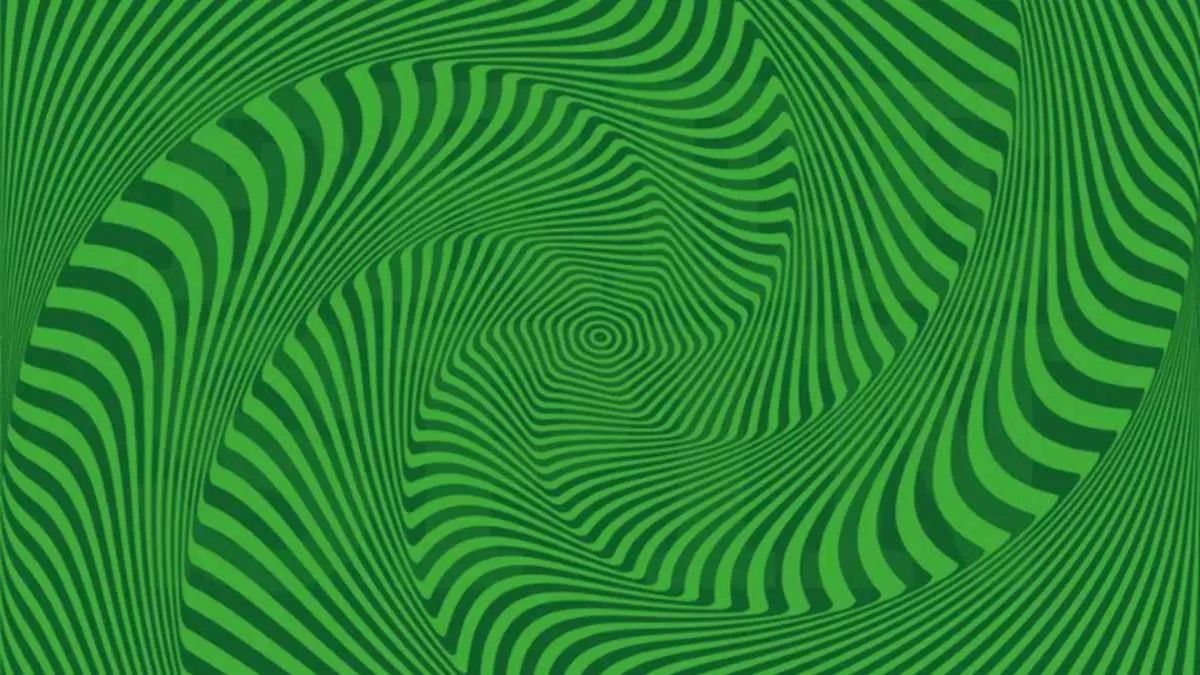 OpticalIllusionIQTestSpot2HiddenWordsinPicture