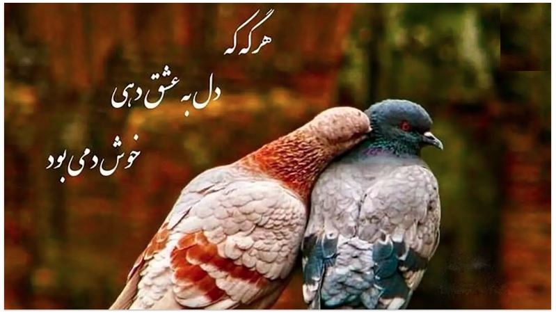 فال حافظعشق