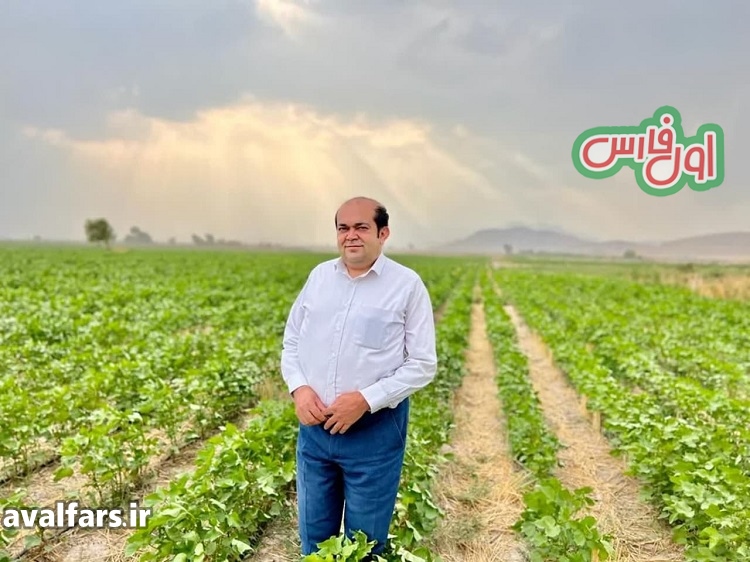 کشاورزیدارابپنبهتعاونر وستایی 1