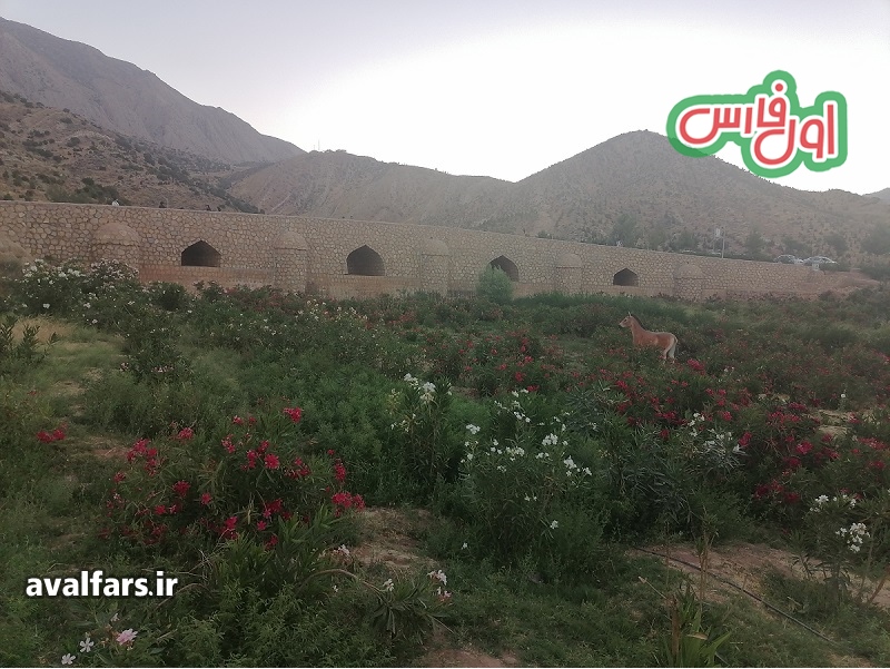 عکس شیراز 1