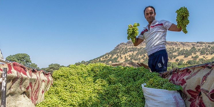 غورخ دشمن زیاری