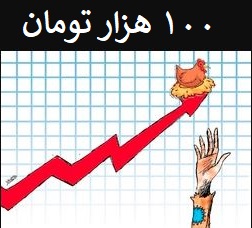 قیمت مرغ