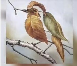 پرنده e1690206712961