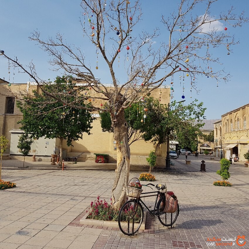 درخت آرزوها