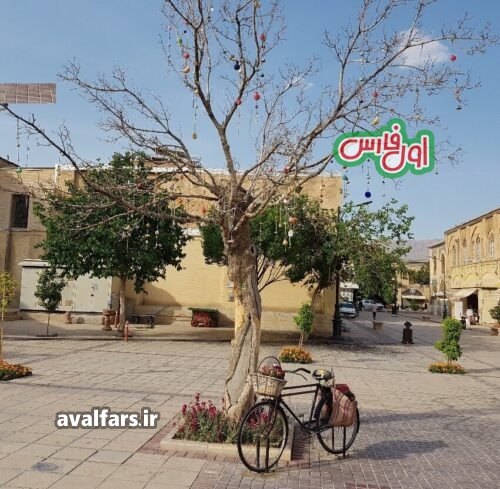 درخت آرزوها شیراز