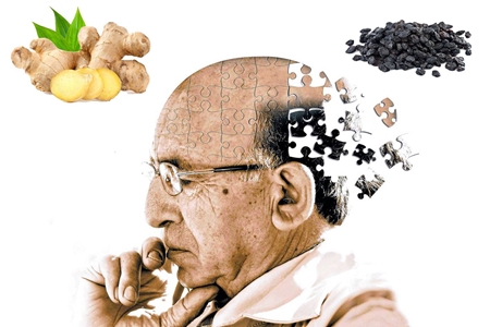 پیشگیری از فراموشی و آلزایمر