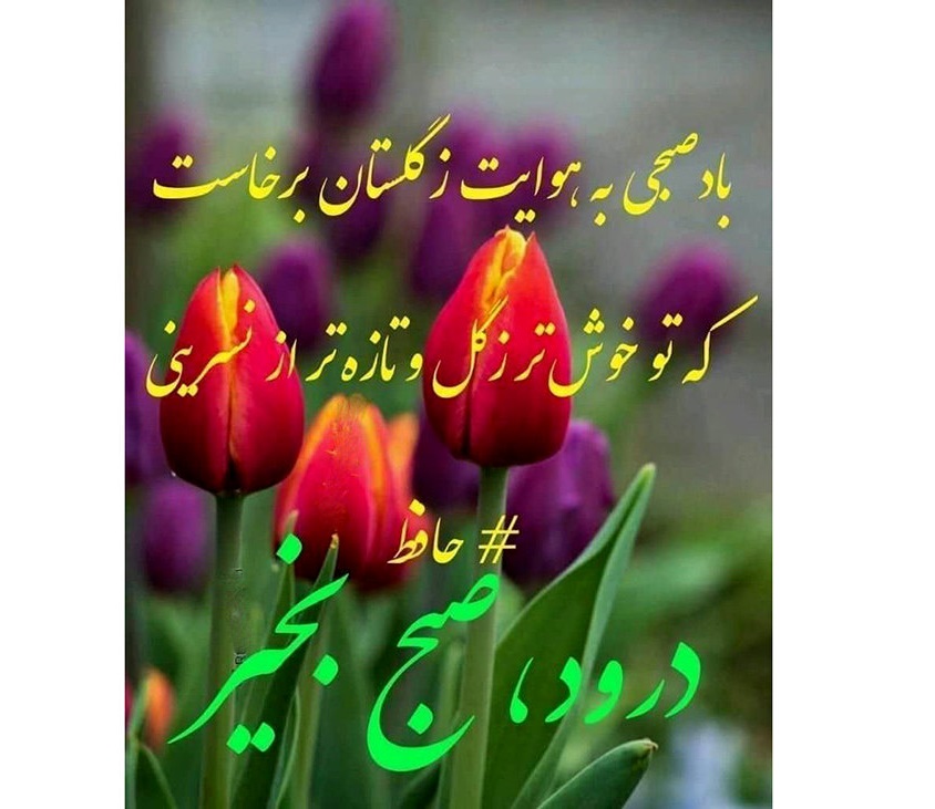 فال حافظ امروز