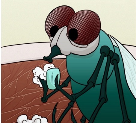 مگس 1
