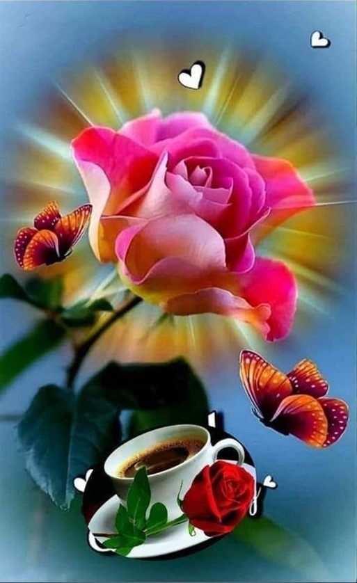 گل های قشنگ در طبیعت 3