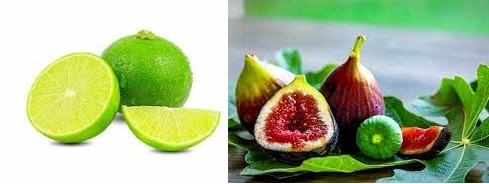 روش قلمه زدن