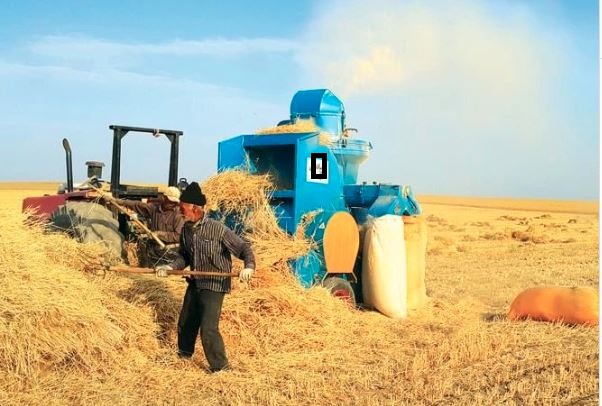 خرید گندم پول گندم