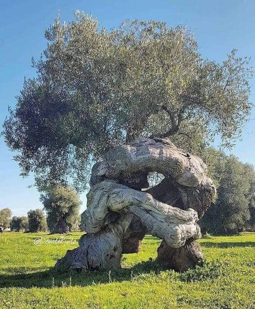 Beautiful photos of nature 11