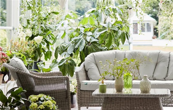 Caring for houseplants in winter 6