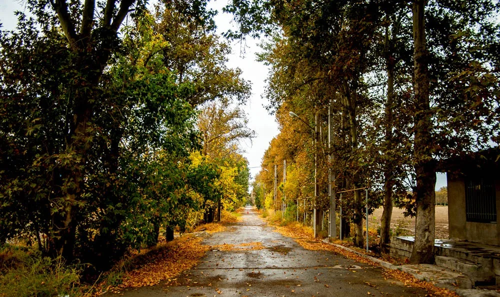 ورود سامانه بارشی و آغاز بارندگی در چند استان کشور طی 48 ساعت آینده 9 باران پاییز jpg