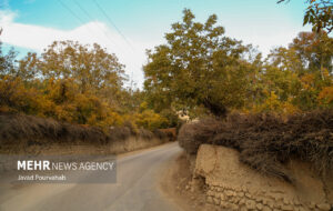 عکس هایی از پاییز زیبا و دلپذیر شیراز