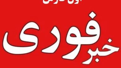 عضو کانال «خبر فوری اول فارس » در شبکه‌های اجتماعی شوید