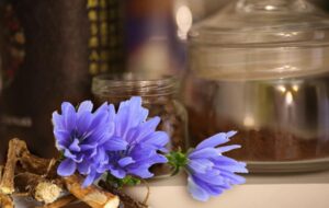 خاصیت شگفت انگیز عرق کاسنی برای لاغری