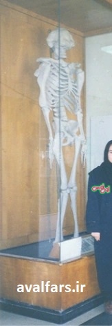Girl infront siah khans skeleton