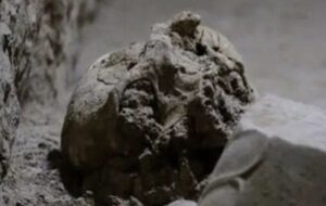 کشف بقایای اسکلت یک انسان در کاخ تچر تخت جمشید/نتایج DNA اعلام شد