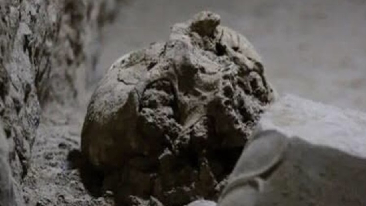 Interesting discovery of the remains of 20 human skeletons in the waterways of Persepolis