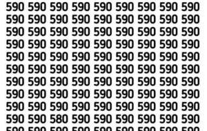 فقط تیزبین ترین افراد می توانند عدد متفاوت این تصویر را در ۵ ثانیه پیدا کنند!